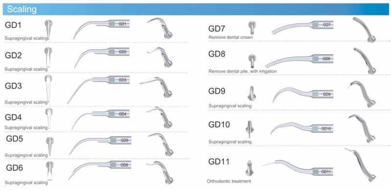 DTE Scaling Silver tips - Dentsupply SIA